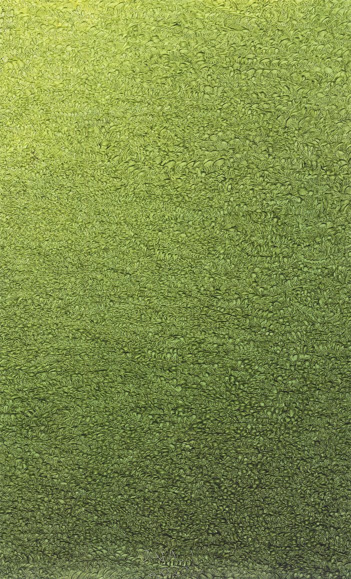 Artist Painter DAPACU
Javari Valley Masterpiece